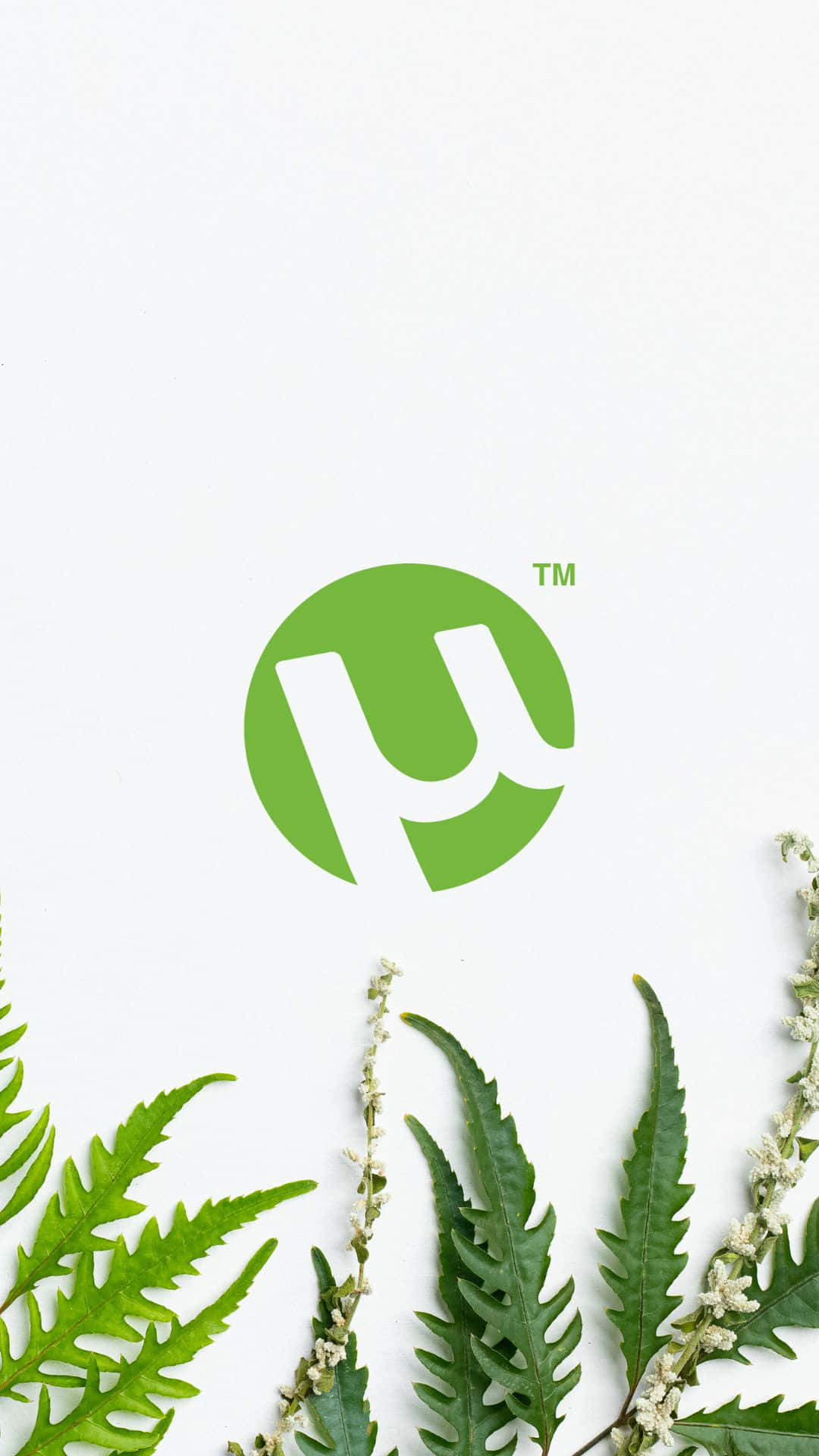 En grøn logo med farvestefer og blade. Wallpaper