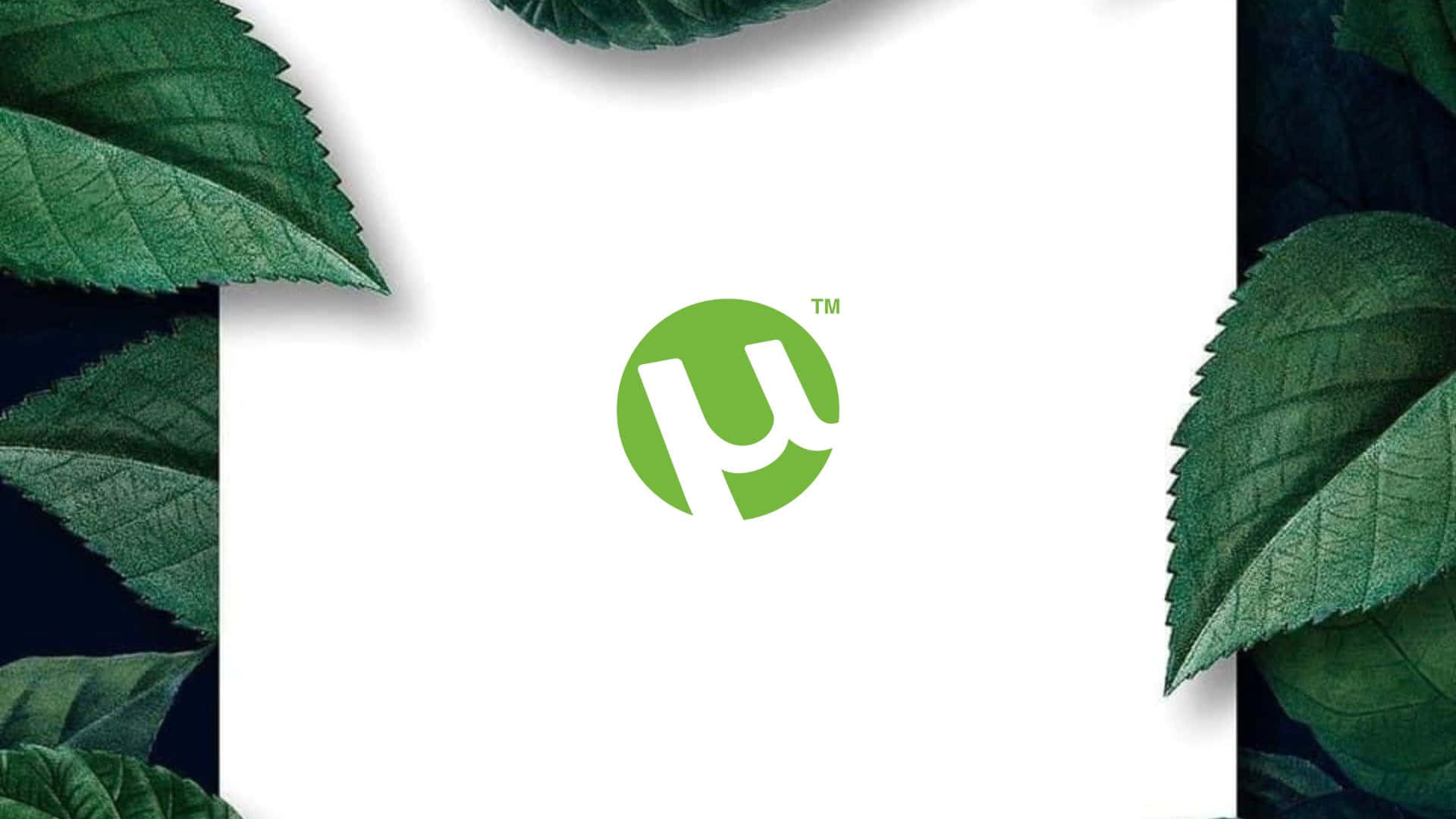 A Green Leaf With The Letter U On It Wallpaper