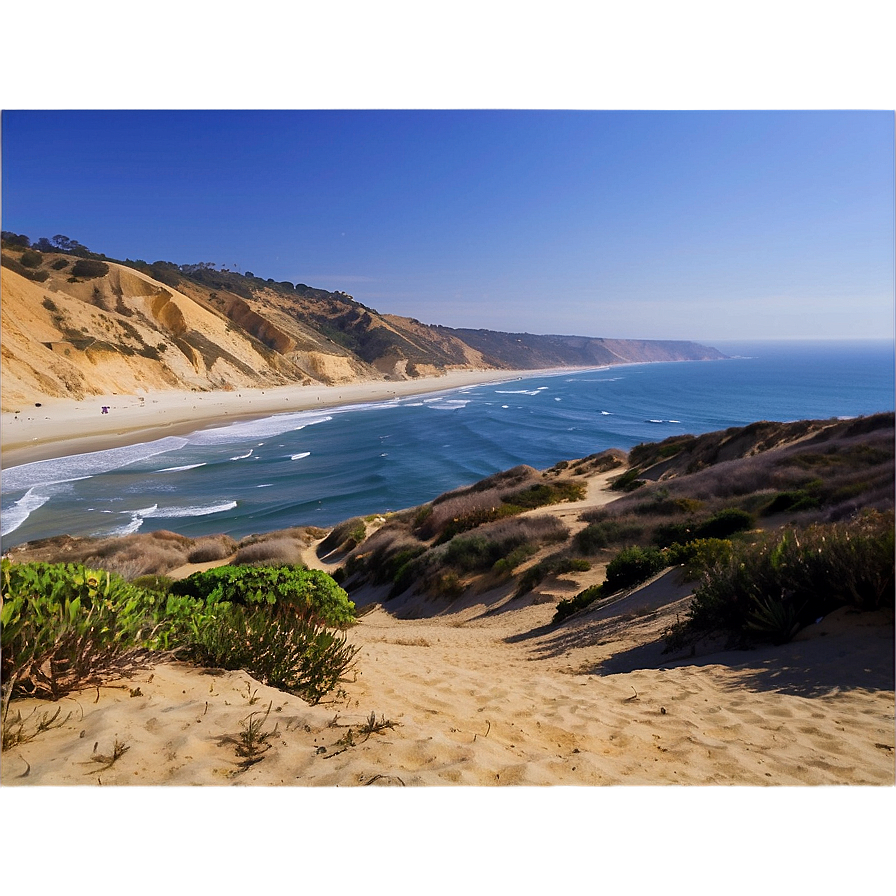 Torrey Pines State Natural Reserve San Diego Png 06252024 PNG