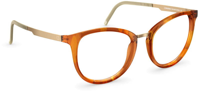 Tortoiseshell Eyeglasses Transparent Background PNG