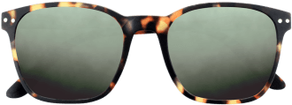 Tortoiseshell Sunglasses Front View PNG