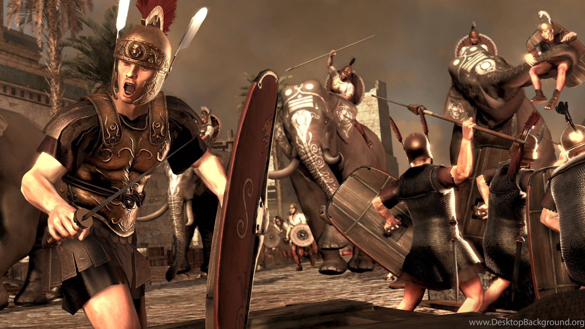Total War Rome 2 Fighting With Elephants
