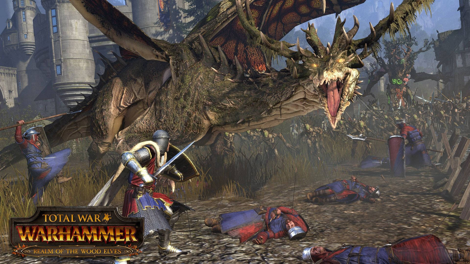 Total War Warhammer Soldier Fights A Dragoon Wallpaper