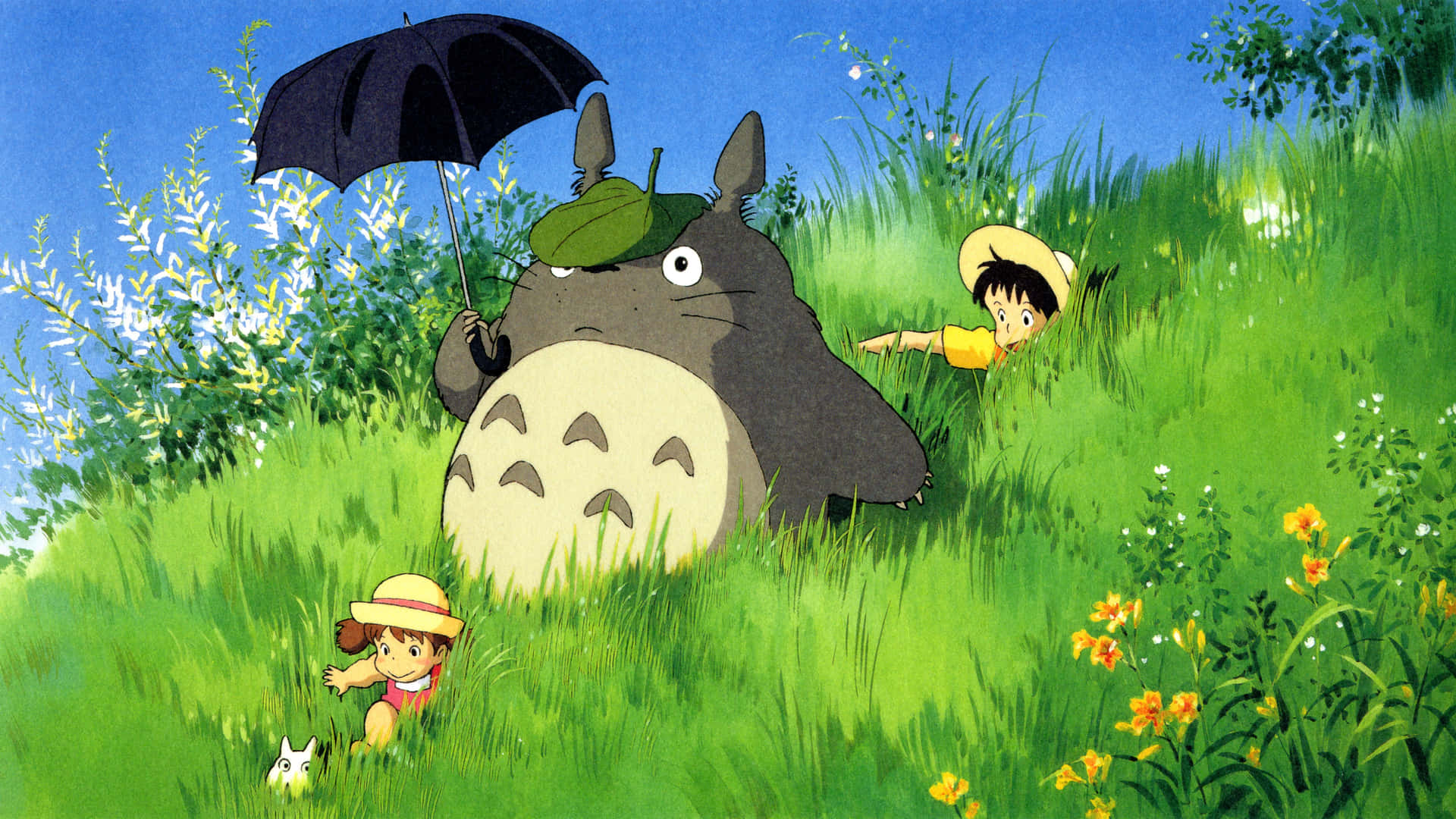 Upplevnaturlig Skönhet Med Totoro