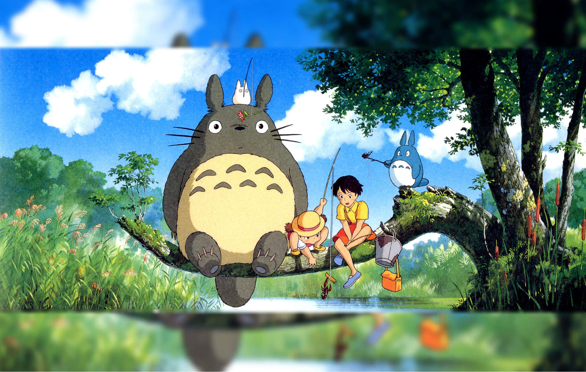 Eingenauerer Blick Auf Totoro