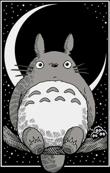 Totoro Moonlight Illustration PNG