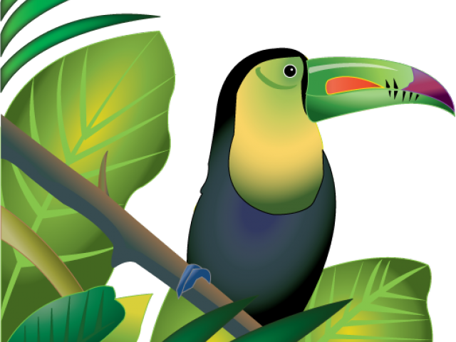 Toucan Amongst Green Leaves PNG