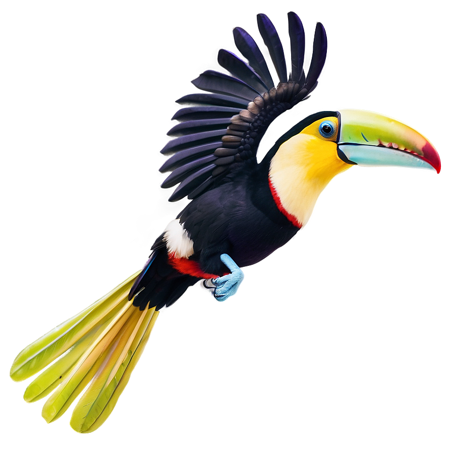 Toucan In Flight Png 06112024 PNG