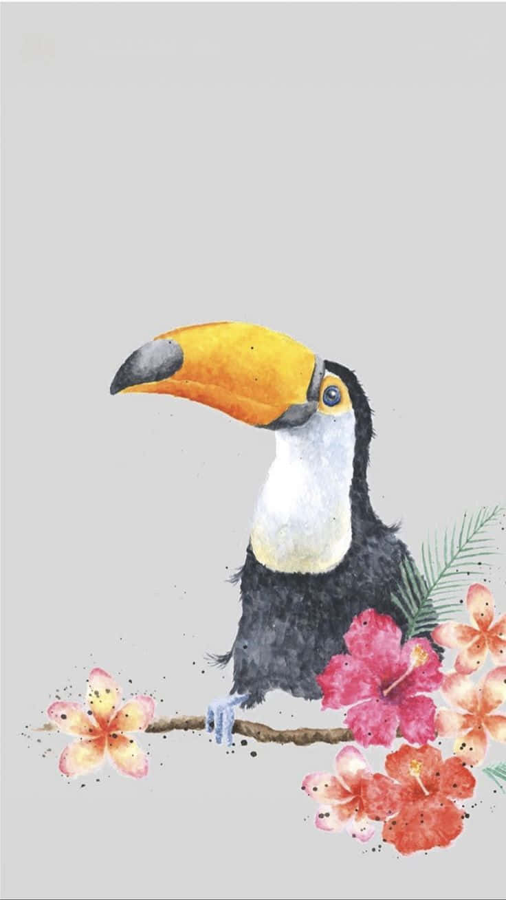 Toucan Watercolor Artwork Wallpaper