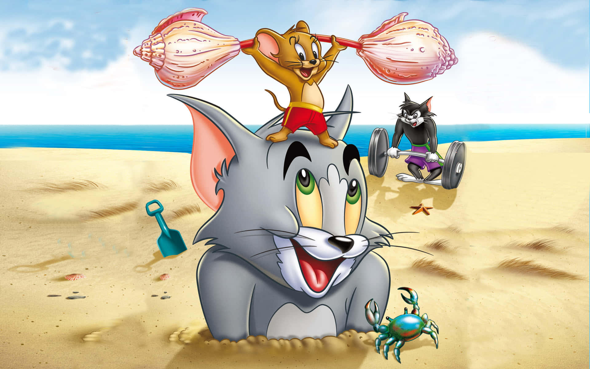 A Cartoon Cat And A Crab On The Beach Wallpaper