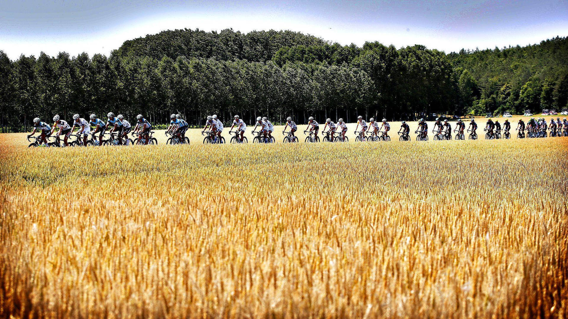 Tour De France Annual Bike Race Background