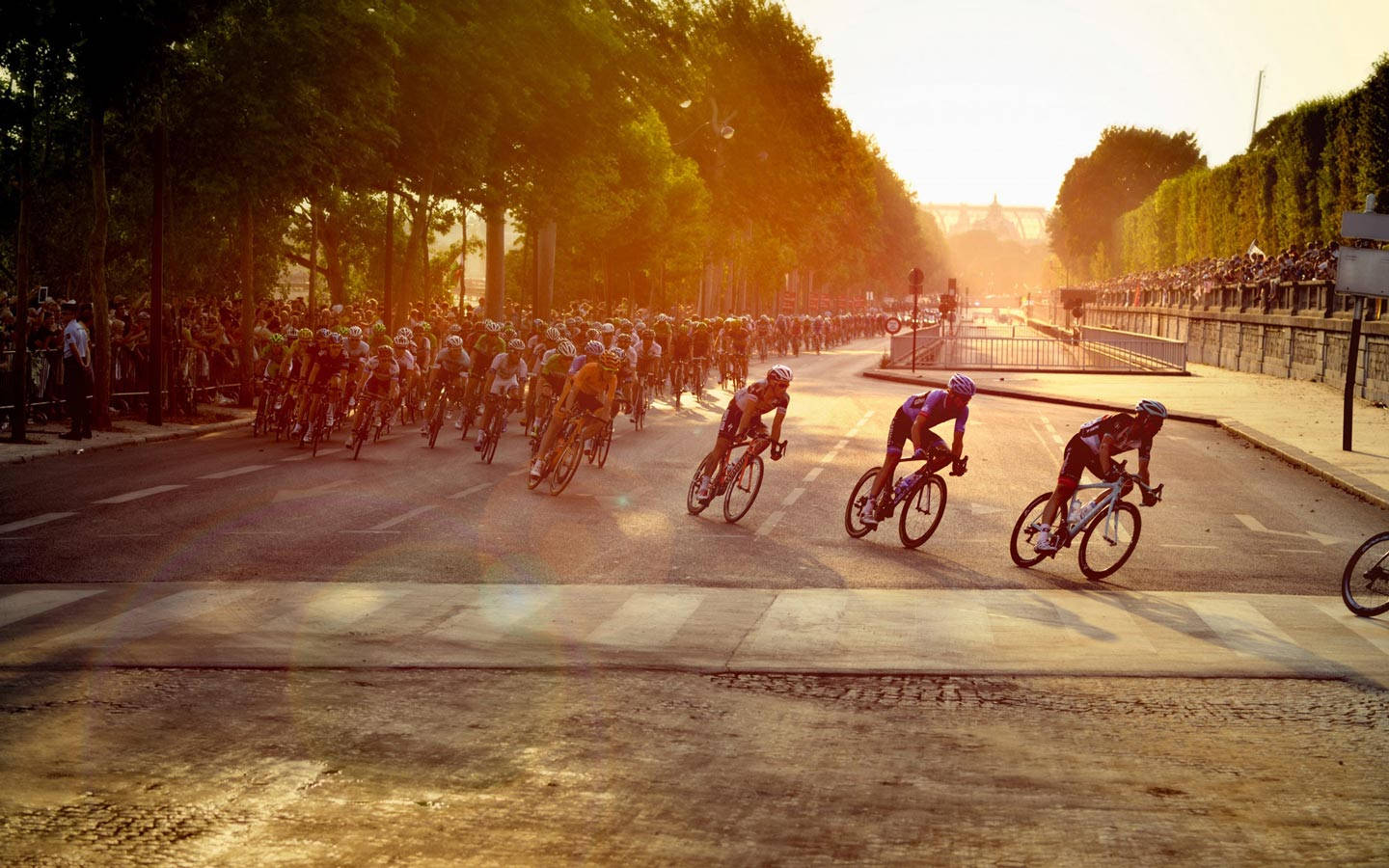 Tour De France Bikers On City Road Background