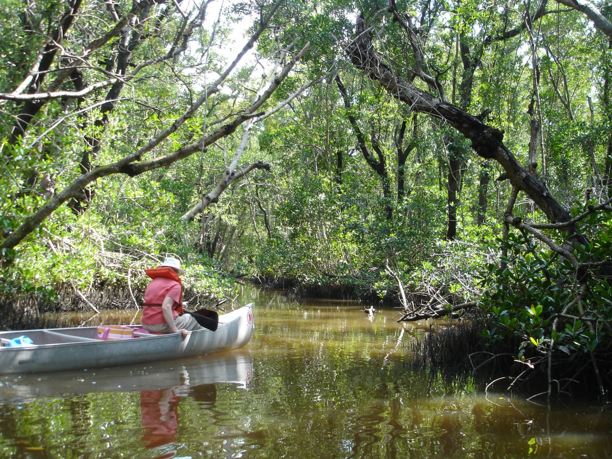 Tourist On Small Boat Everglades National Park Wallpaper