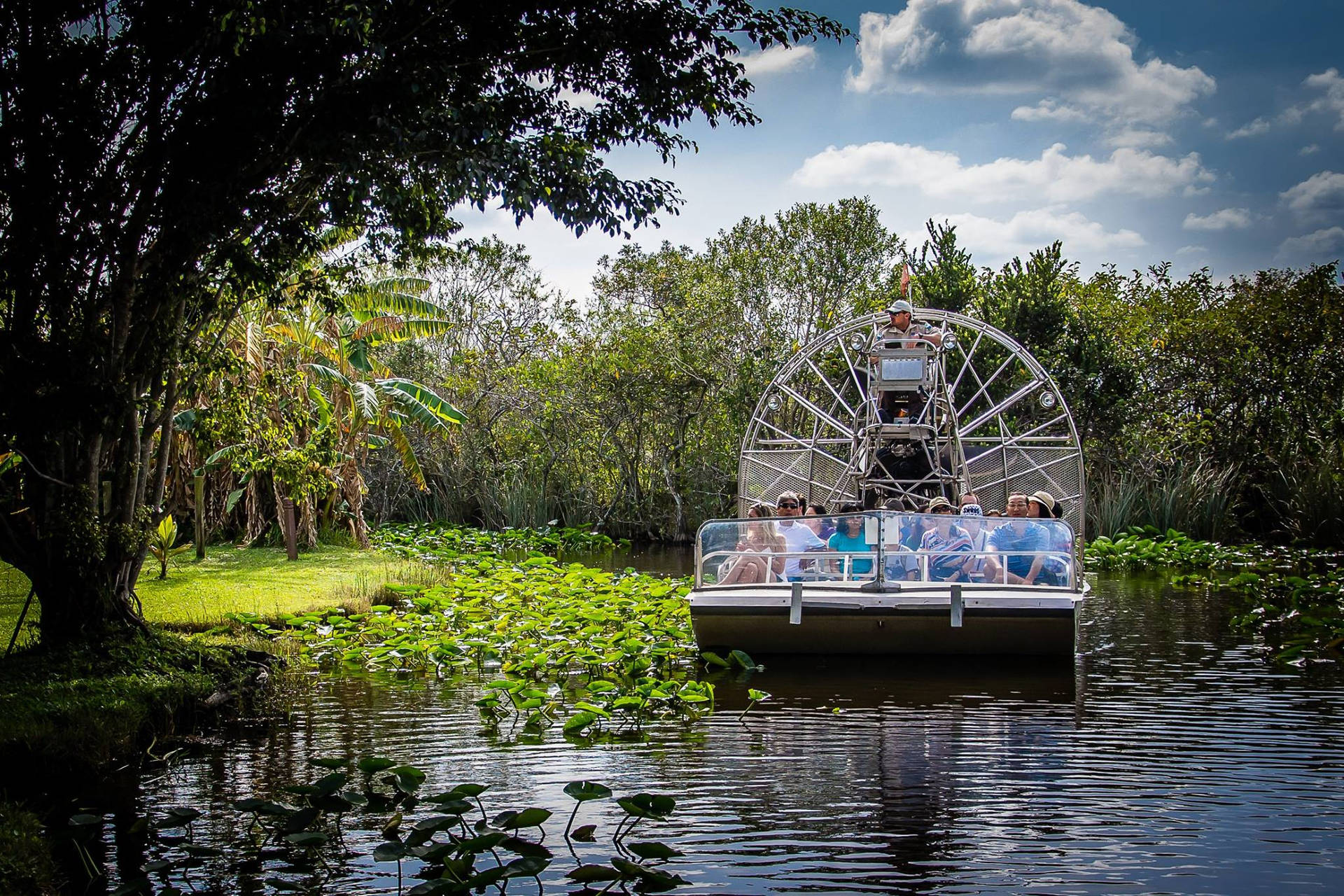 Tourists Riding Boat Everglades National Park Wallpaper
