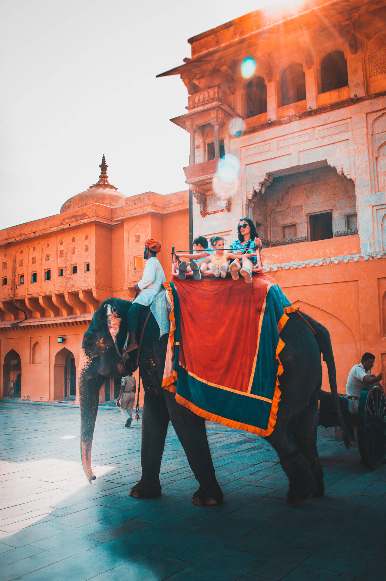 Tourists Riding Elephant In Jaipur Wallpaper