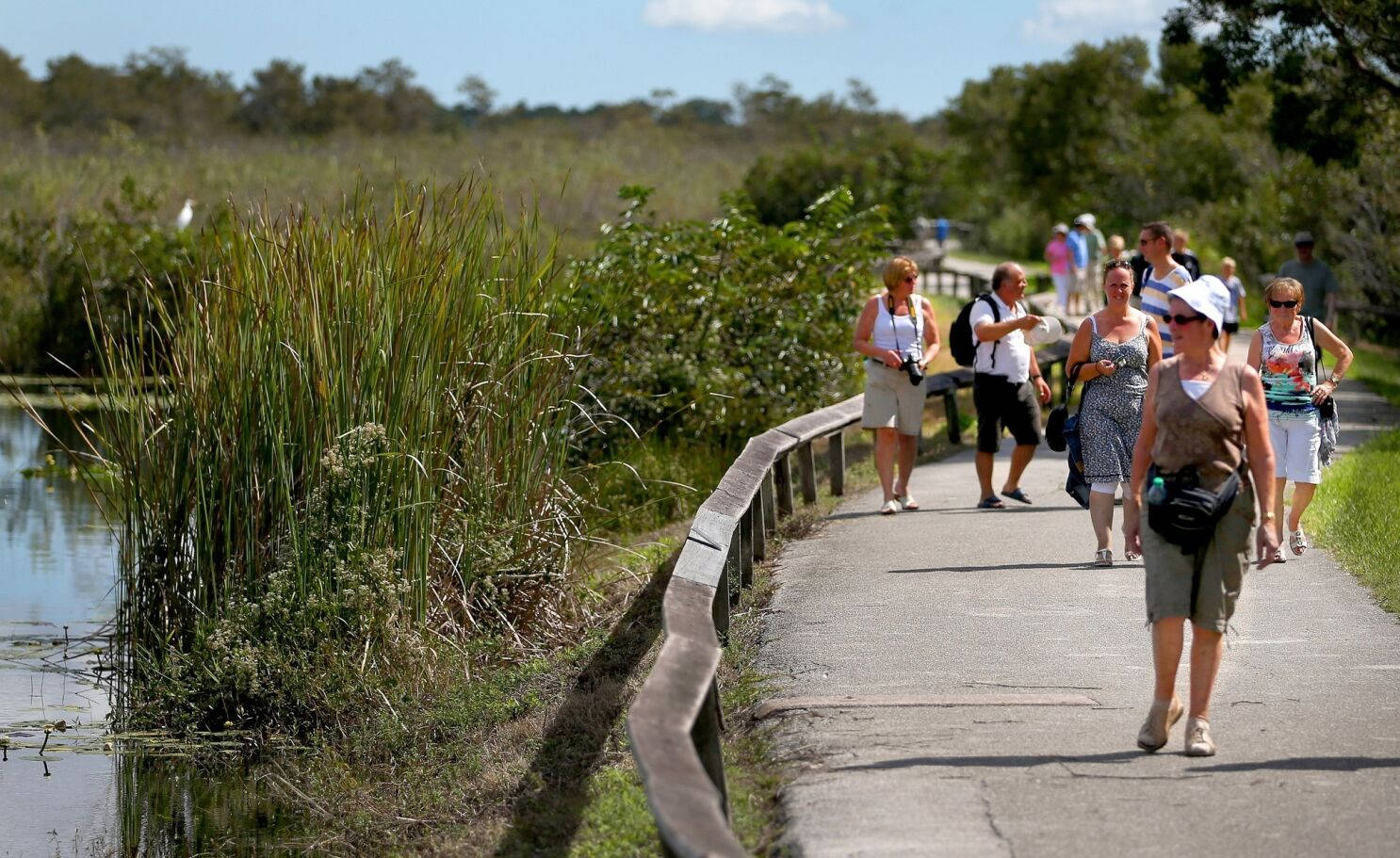 Tourists Walking Everglades National Park Wallpaper