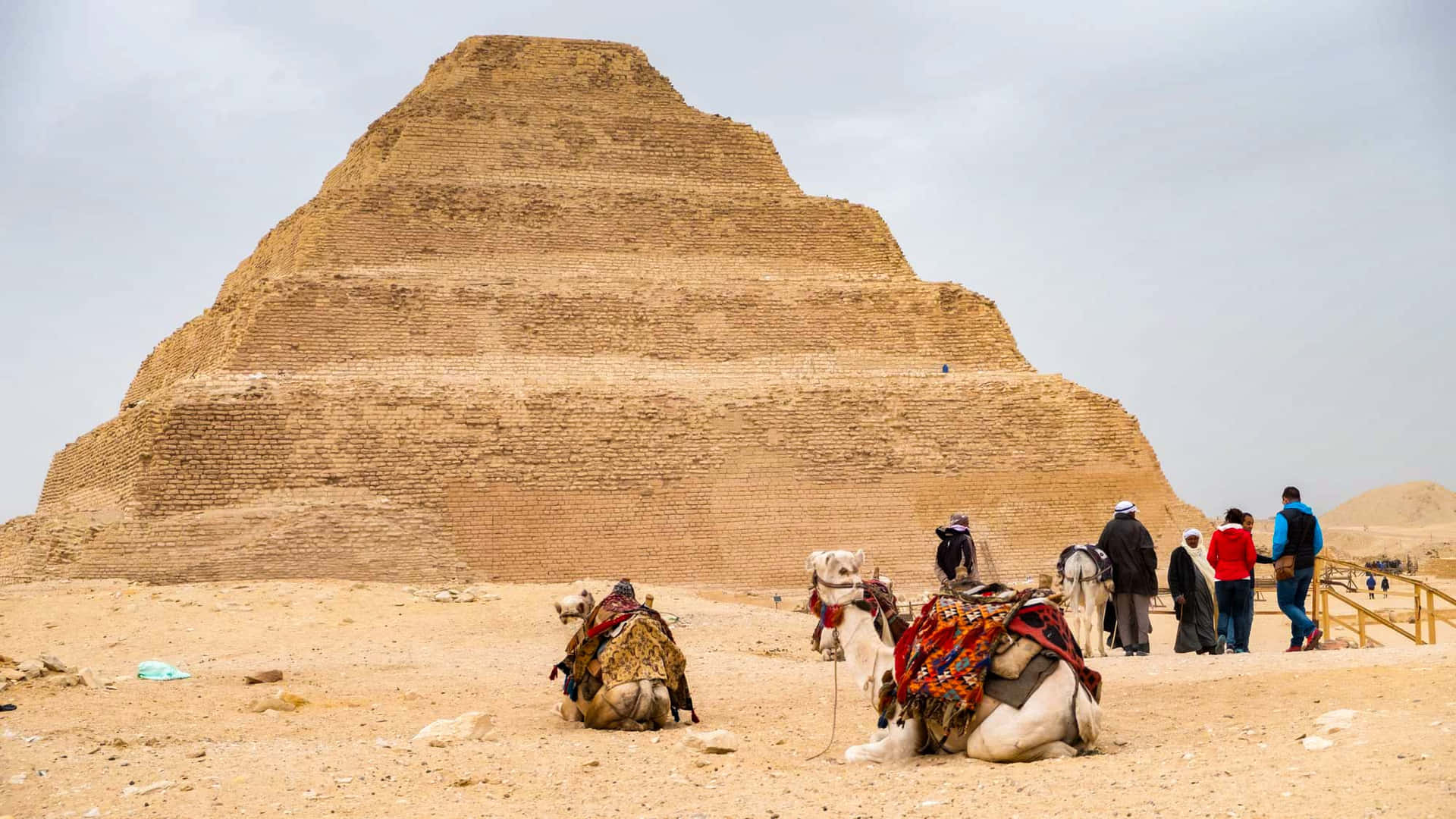 Tourists With Camels At Saqqara Pyramid Wallpaper