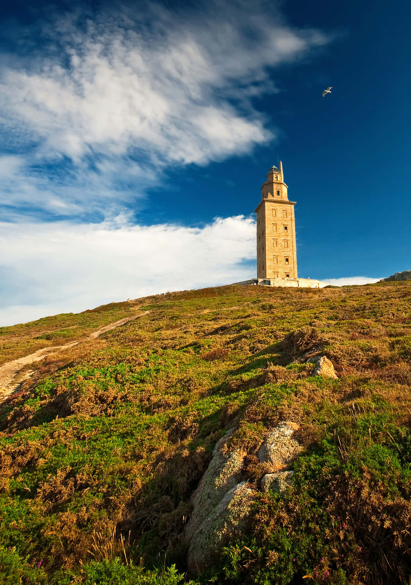 Tower Of Hercules Above The Grass Phone Wallpaper