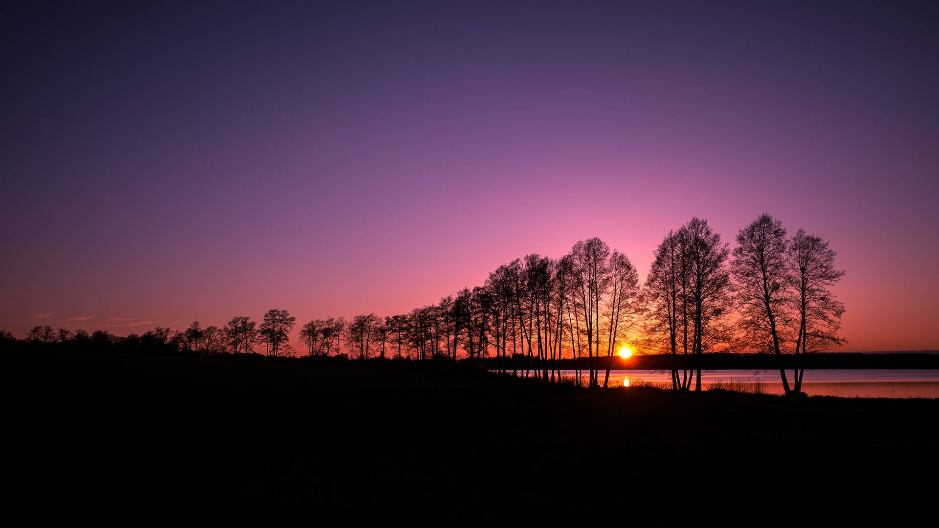 Hohebäume Sonnenuntergang Desktop Wallpaper