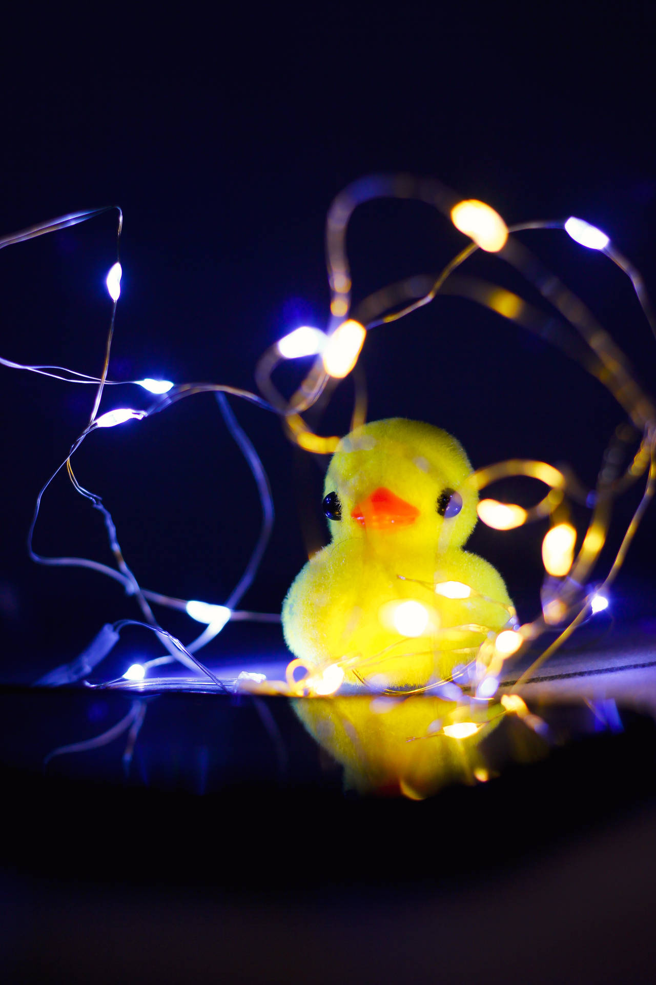 Toy Duck And String Lights