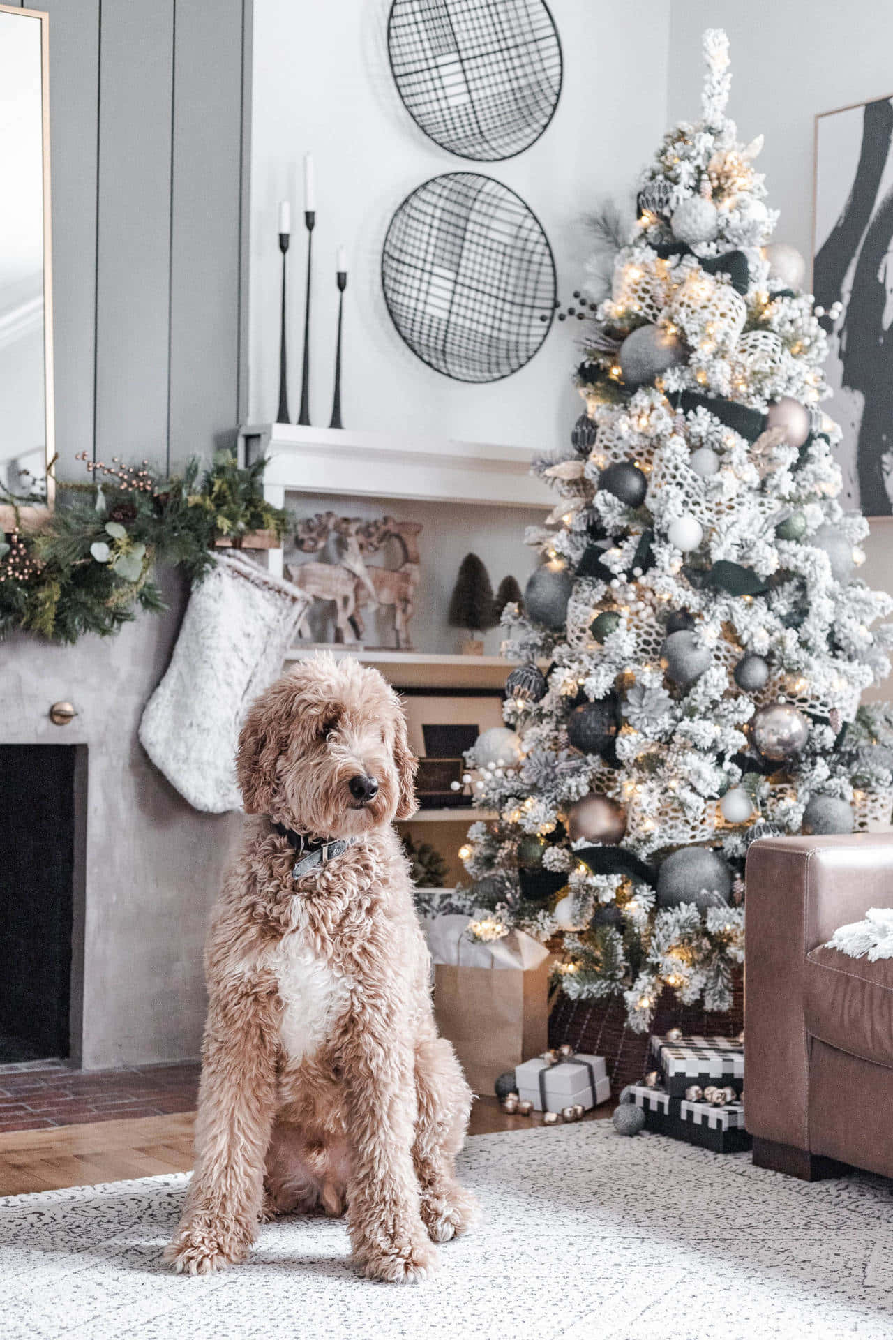 Toy Poodle Next To A Simple Aesthetic Cute Christmas Tree Wallpaper