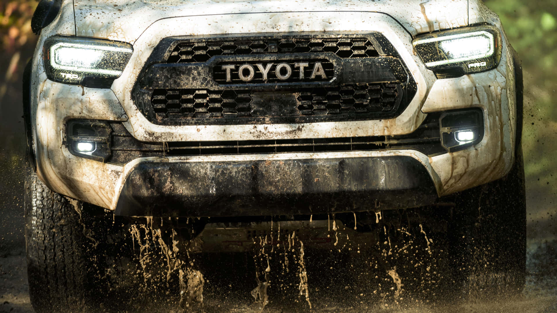 Bilderleben Sie Die Freiheit Eines Toyota.