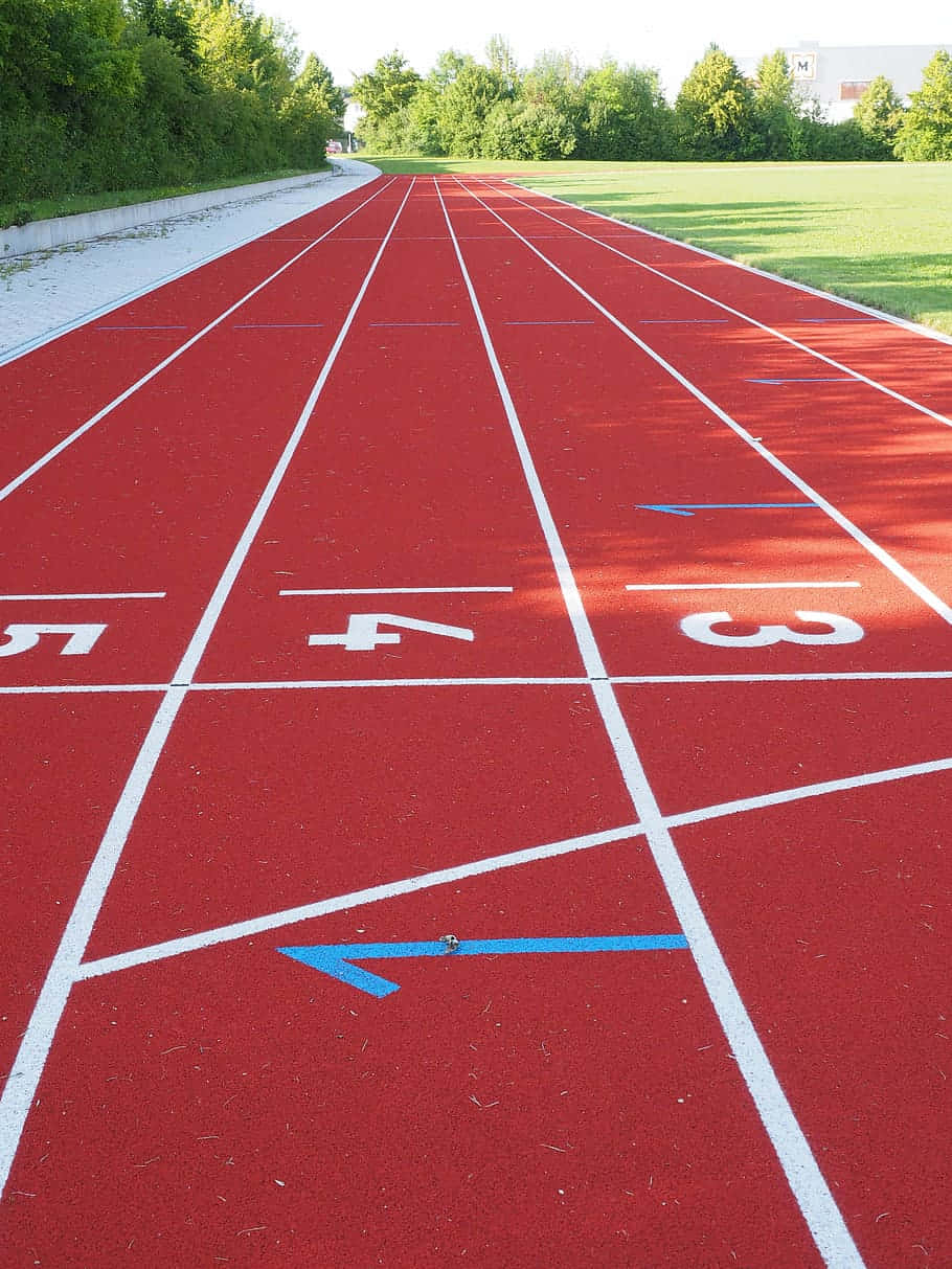 The Starting Line of a Track Race