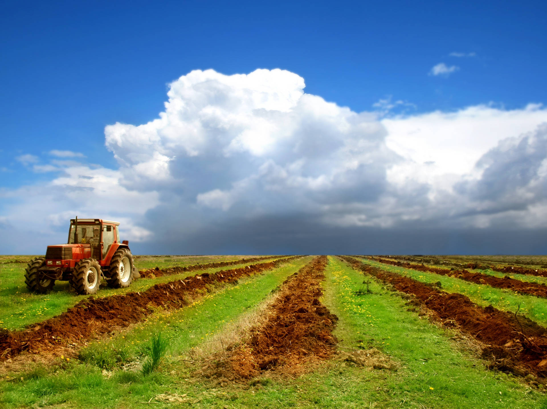 Tractor Field Agriculture Wallpaper