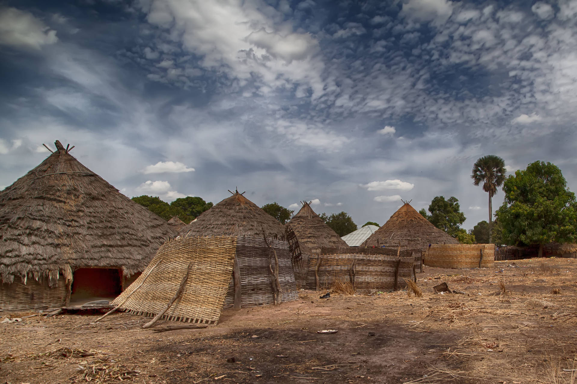 Traditional African Houses In Guinea Bissau Picture