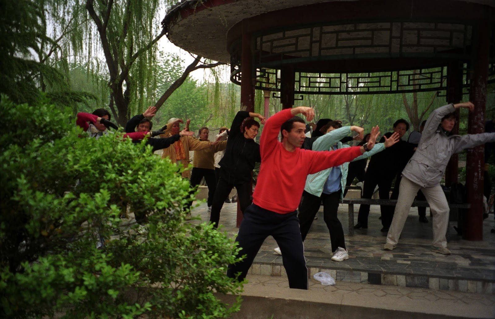 Praticantesi Impegna In Esercizi Di Qi Gong Sfondo
