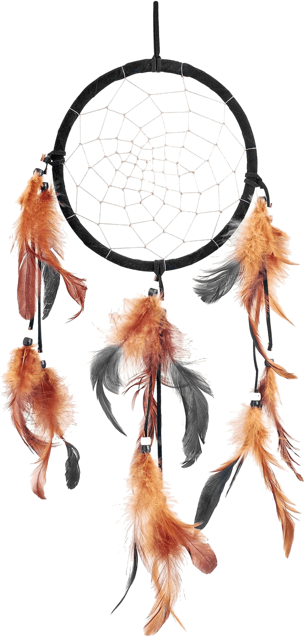Traditional Dreamcatcherwith Feathers PNG