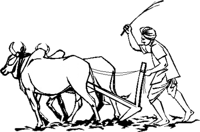 Traditional Farming Plowing Illustration PNG
