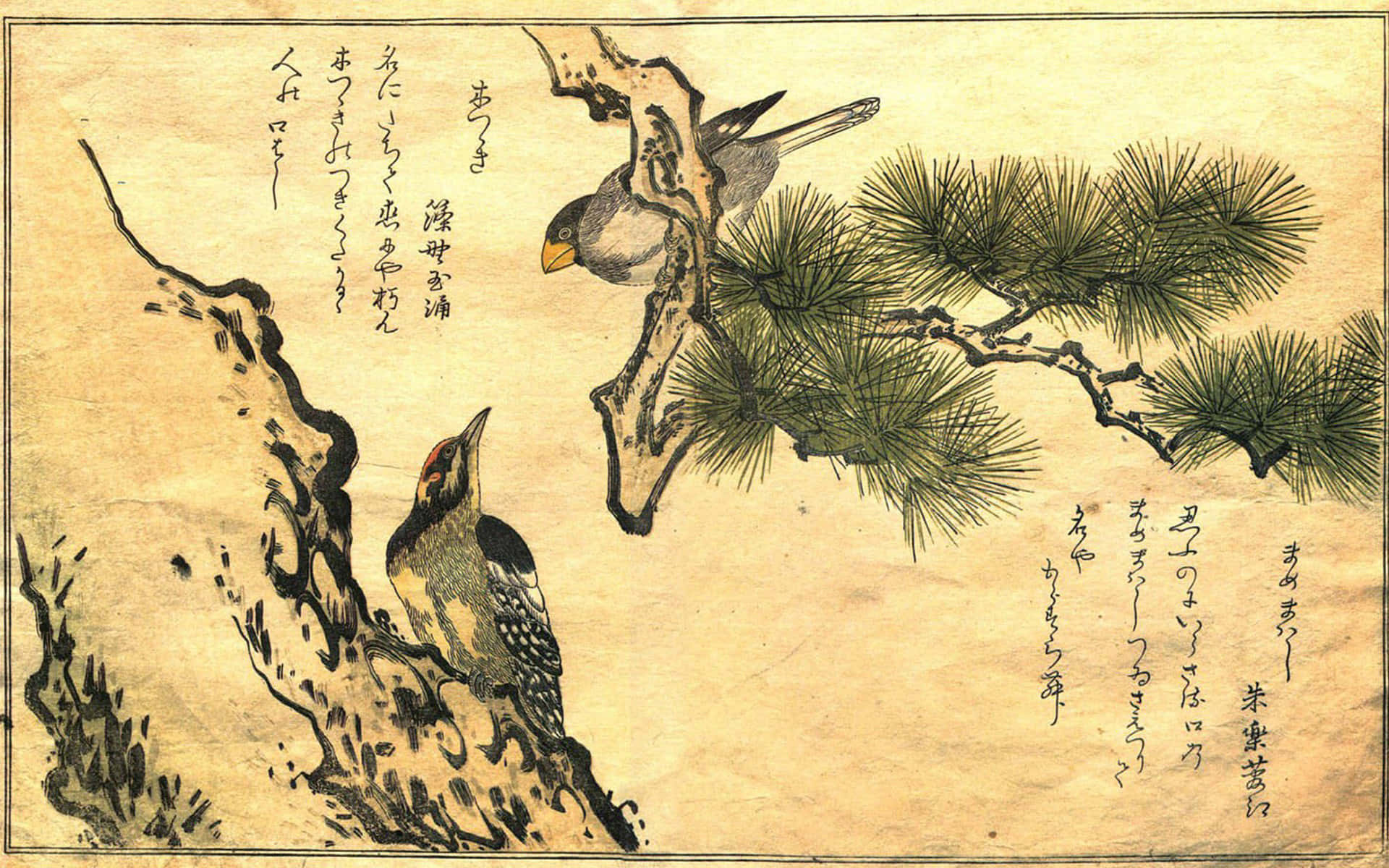 Smuk traditionel japansk kunst, der afspejler dets rige kultur og arv. Wallpaper