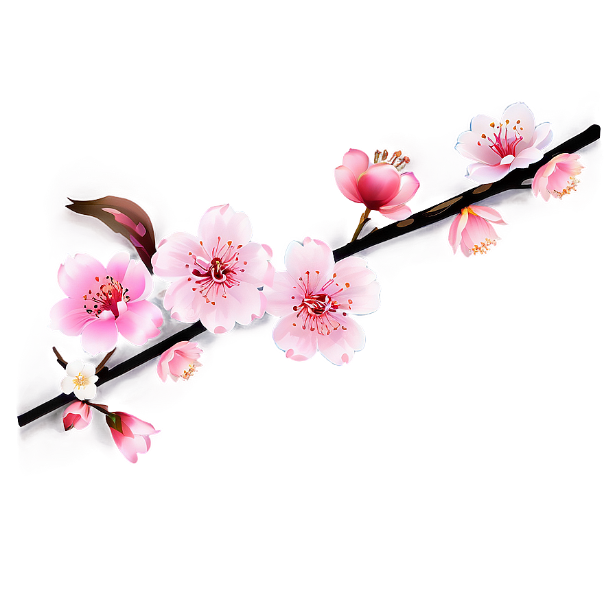 Traditional Japanese Cherry Blossom Png Amx59 PNG