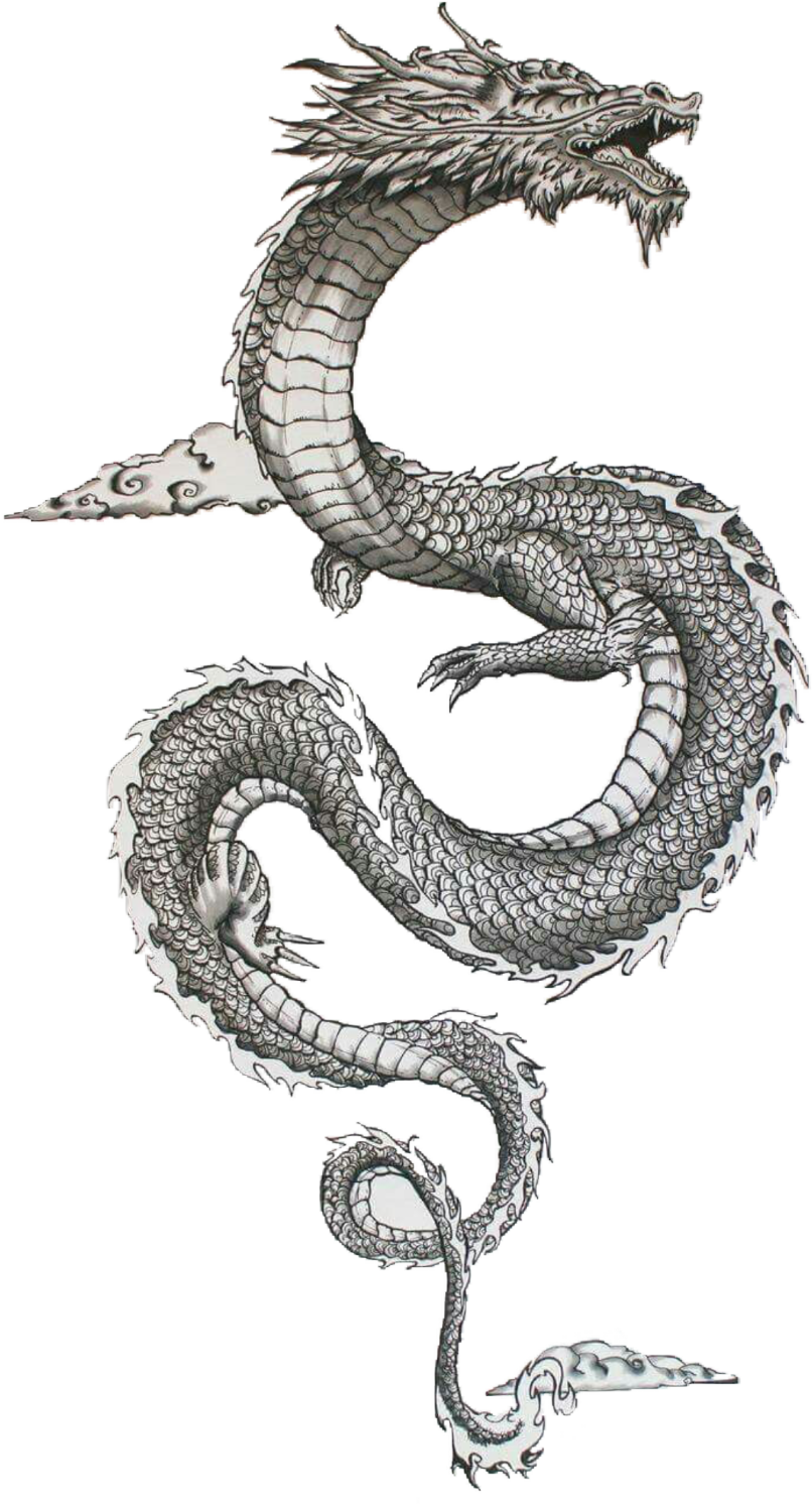 Traditional Japanese Dragon Art PNG