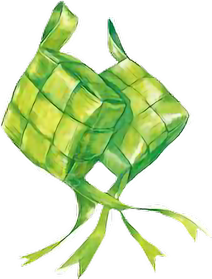 Traditional Ketupat Illustration PNG