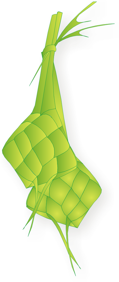 Traditional Ketupat Vector Illustration PNG