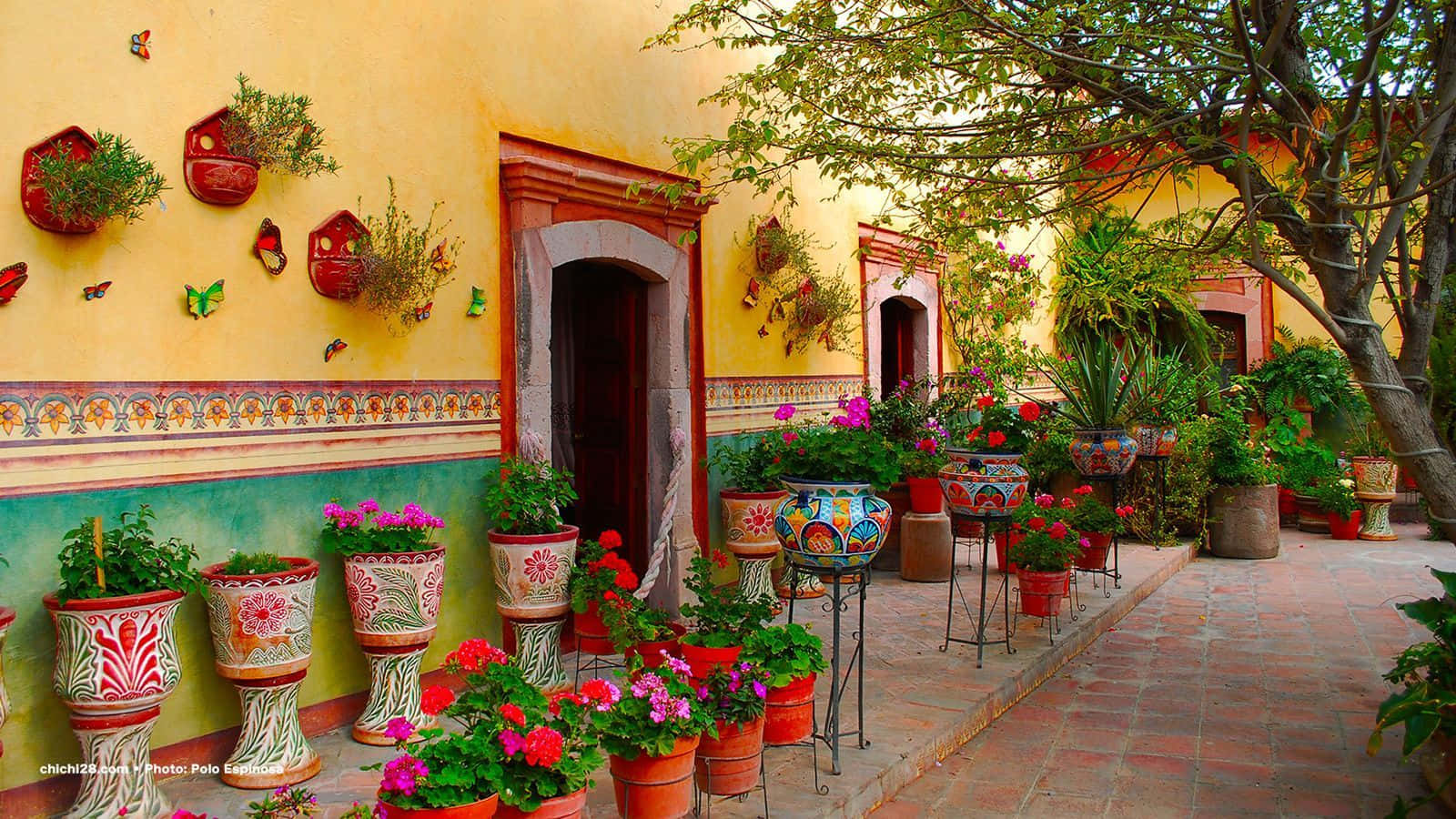 Traditional Mexican Courtyard Decor Wallpaper