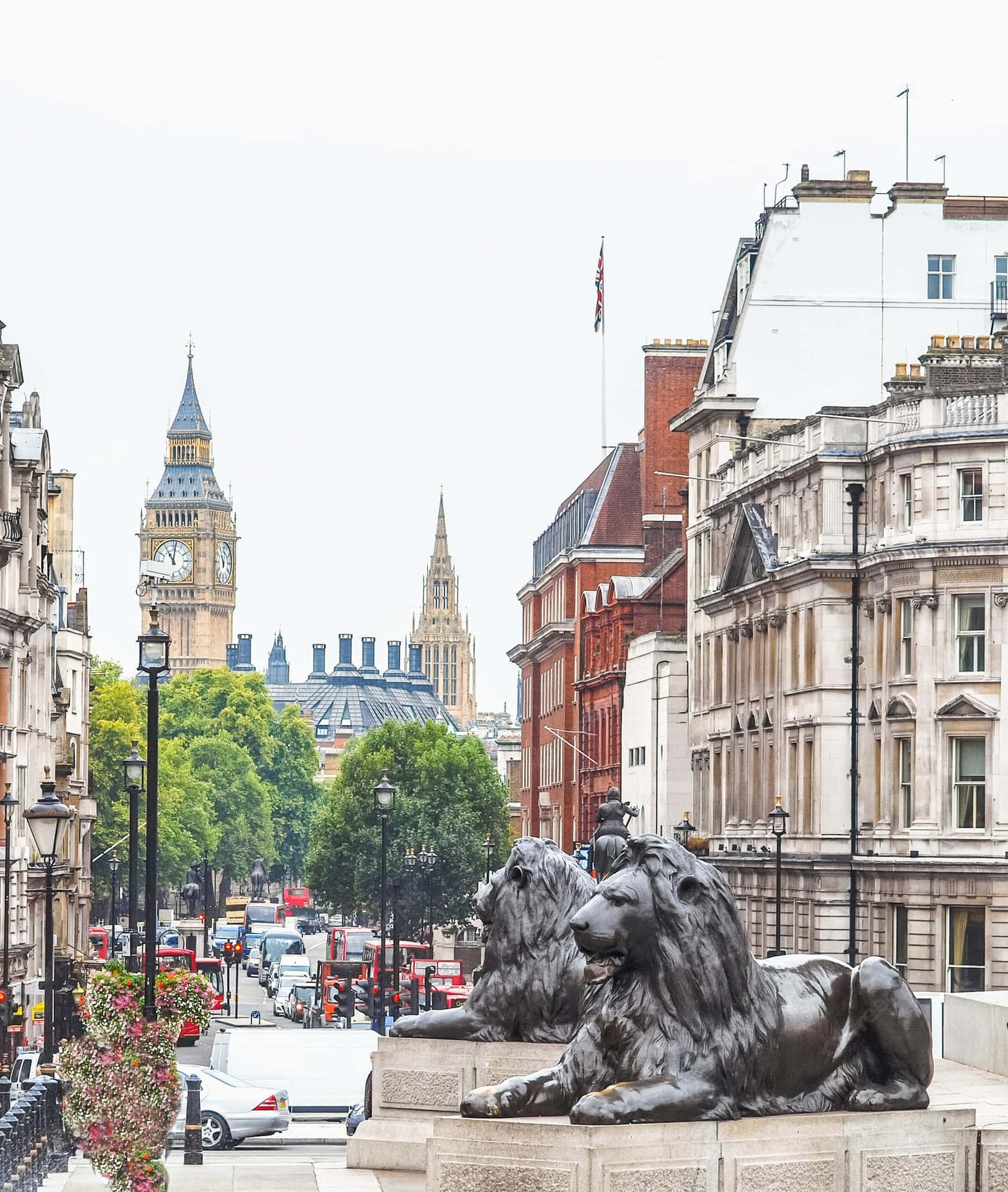 Trafalgar Square Lion Statues Picture