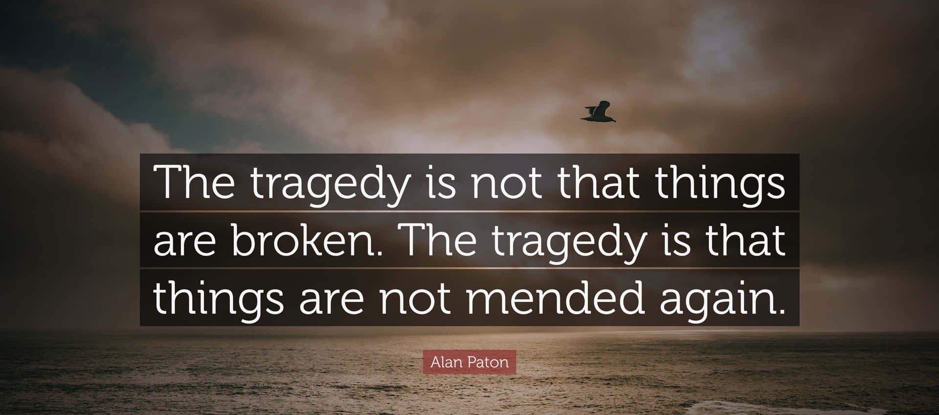 Download Tragedy Quote Over Ocean Sunset Wallpaper | Wallpapers.com