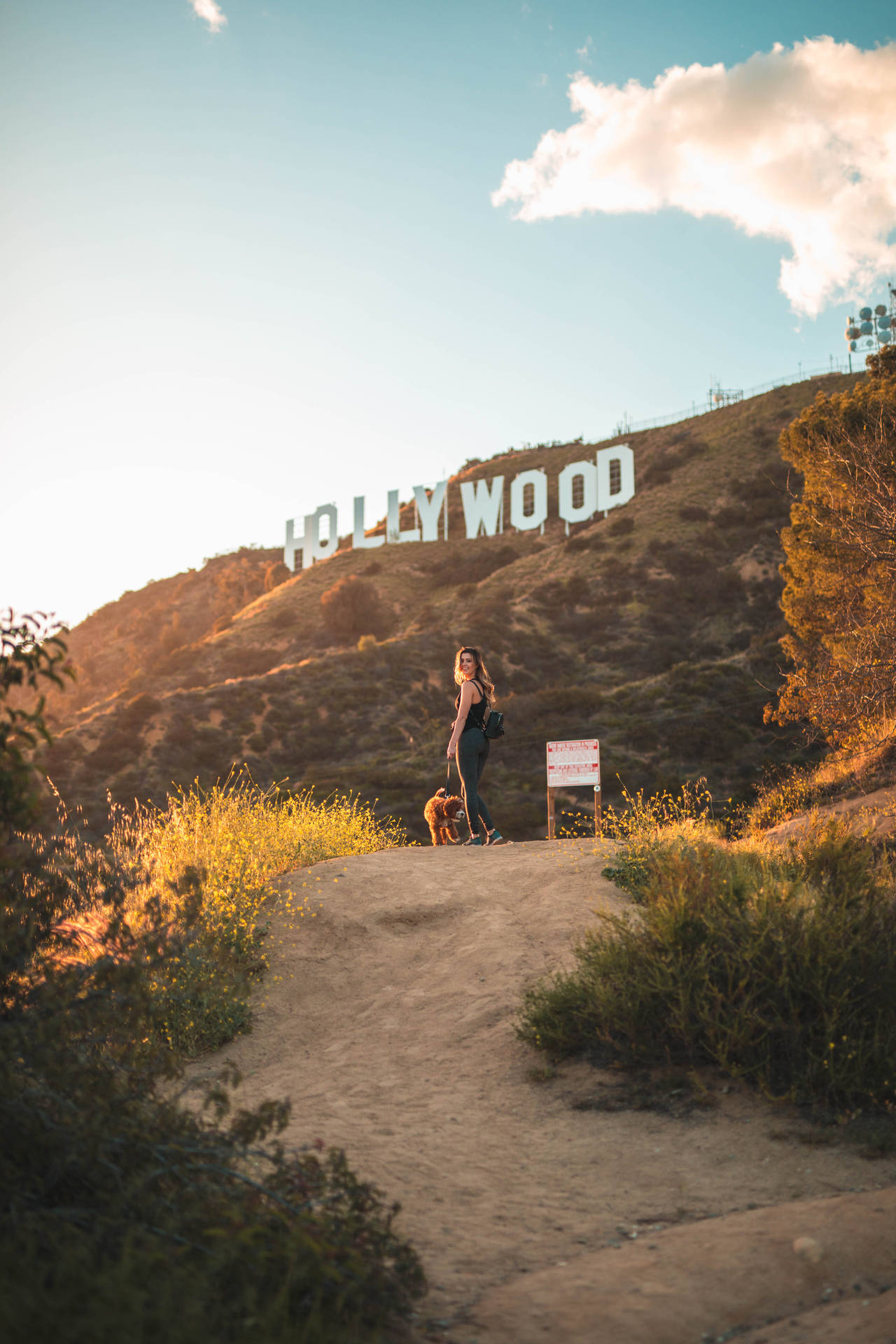 Trail Hollywood Los Angeles