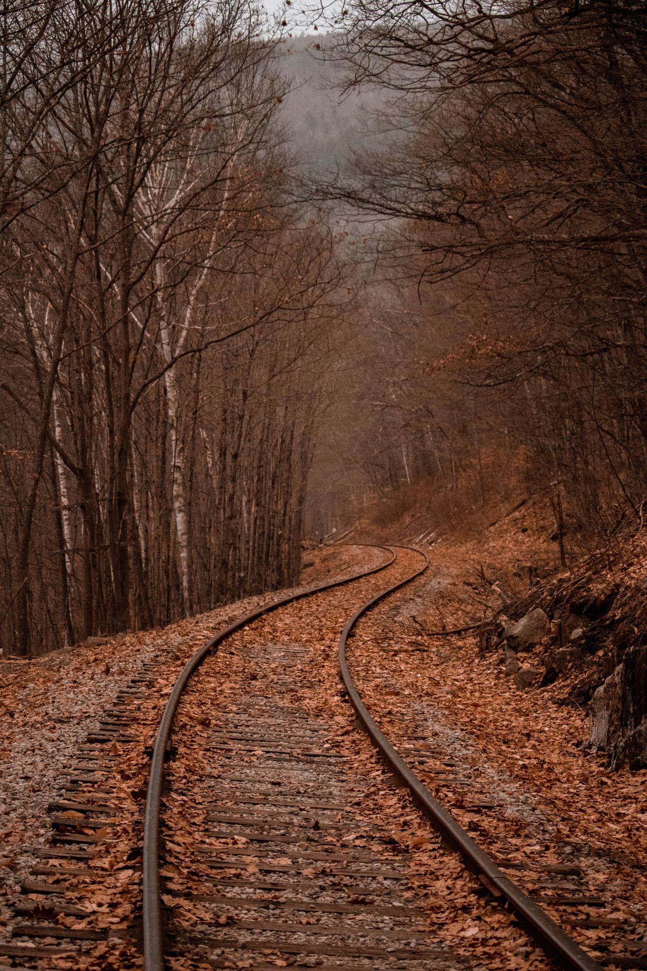 Train track with fallen autumn leaves wallpaper.