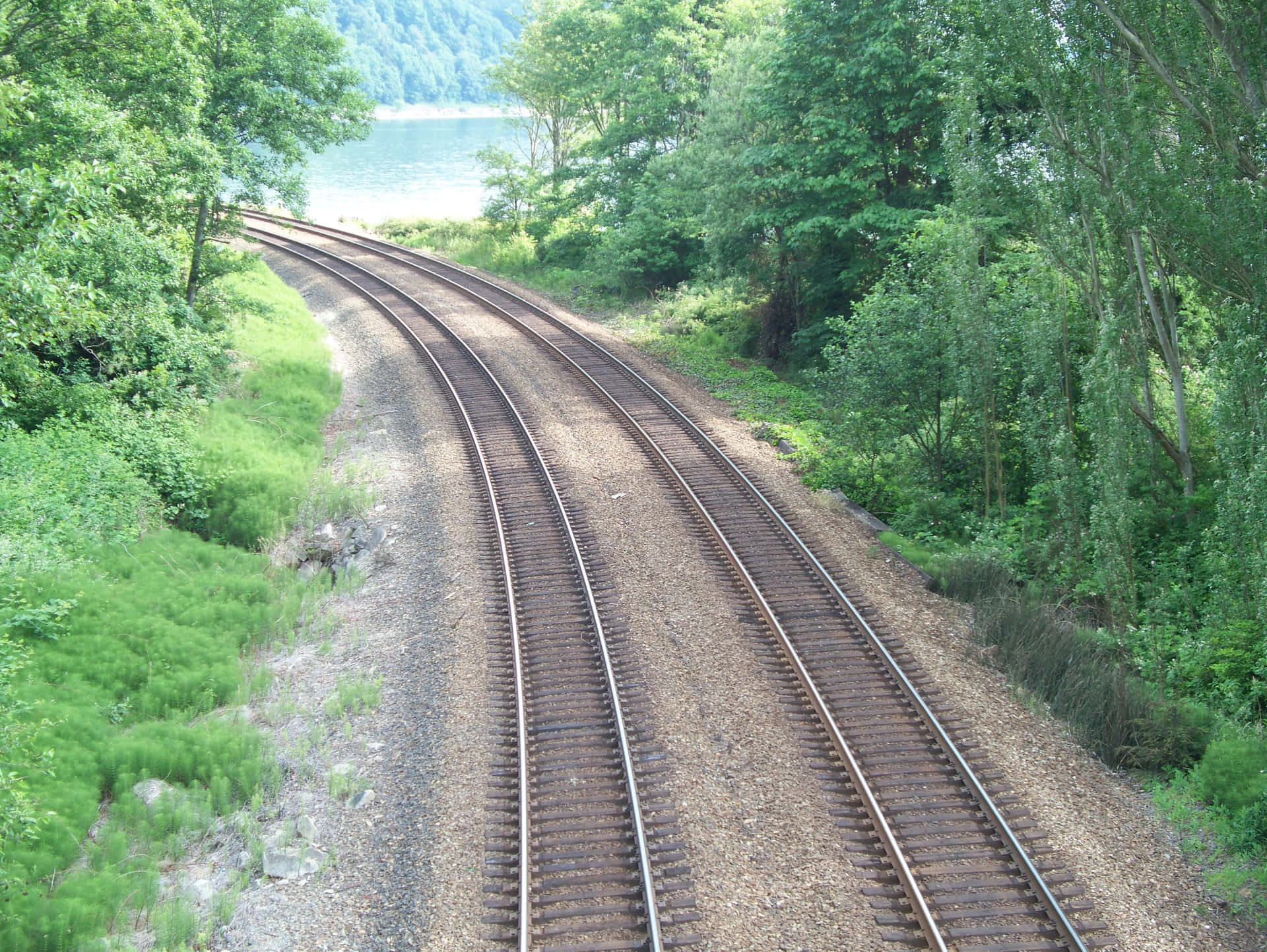 Train Tracks Curved Railway Line Photography Picture