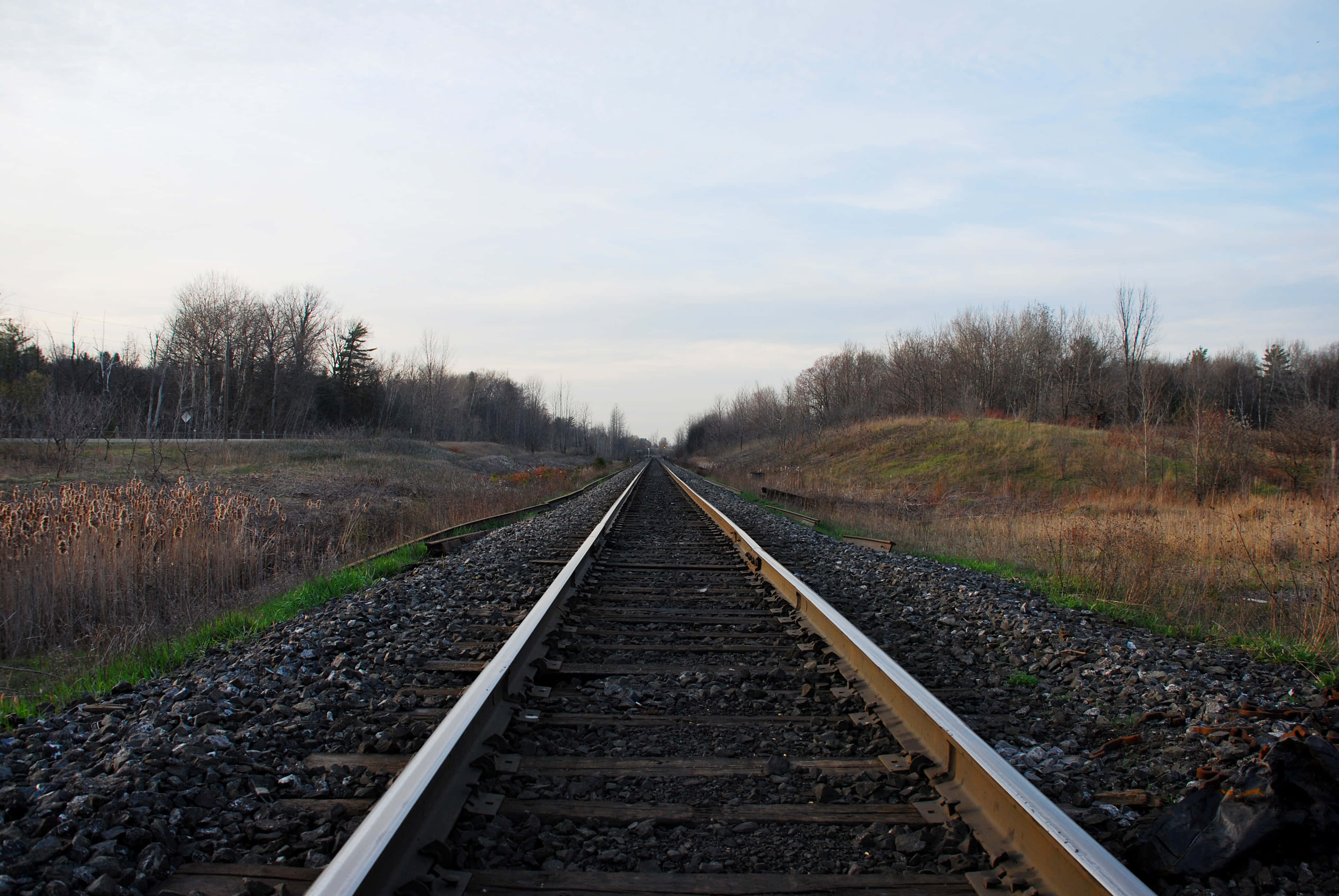 Exploring the Journey of Life Through Train Tracks