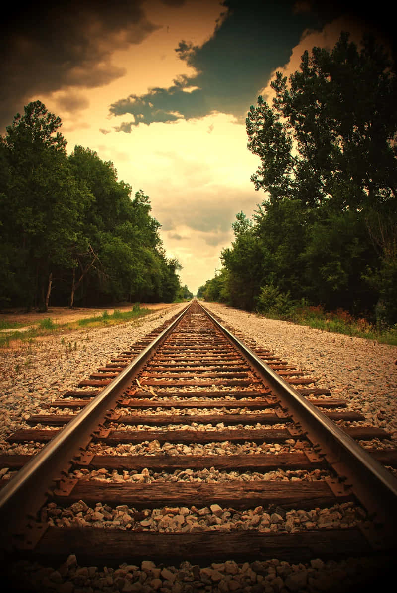 Rustic rural Train Tracks surrounded by lush green trees and nature.