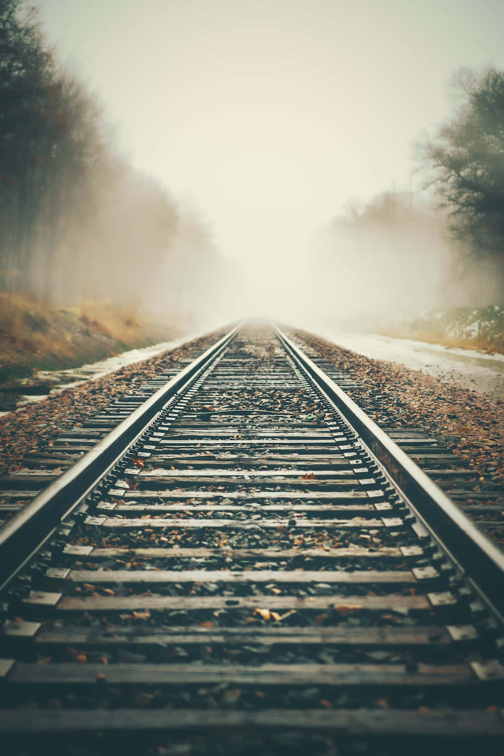 A lone train heads down an empty set of tracks, just outside of the city