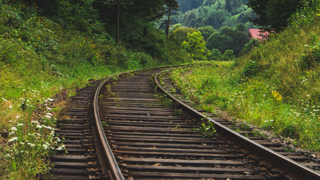 Follow the railway that takes you places
