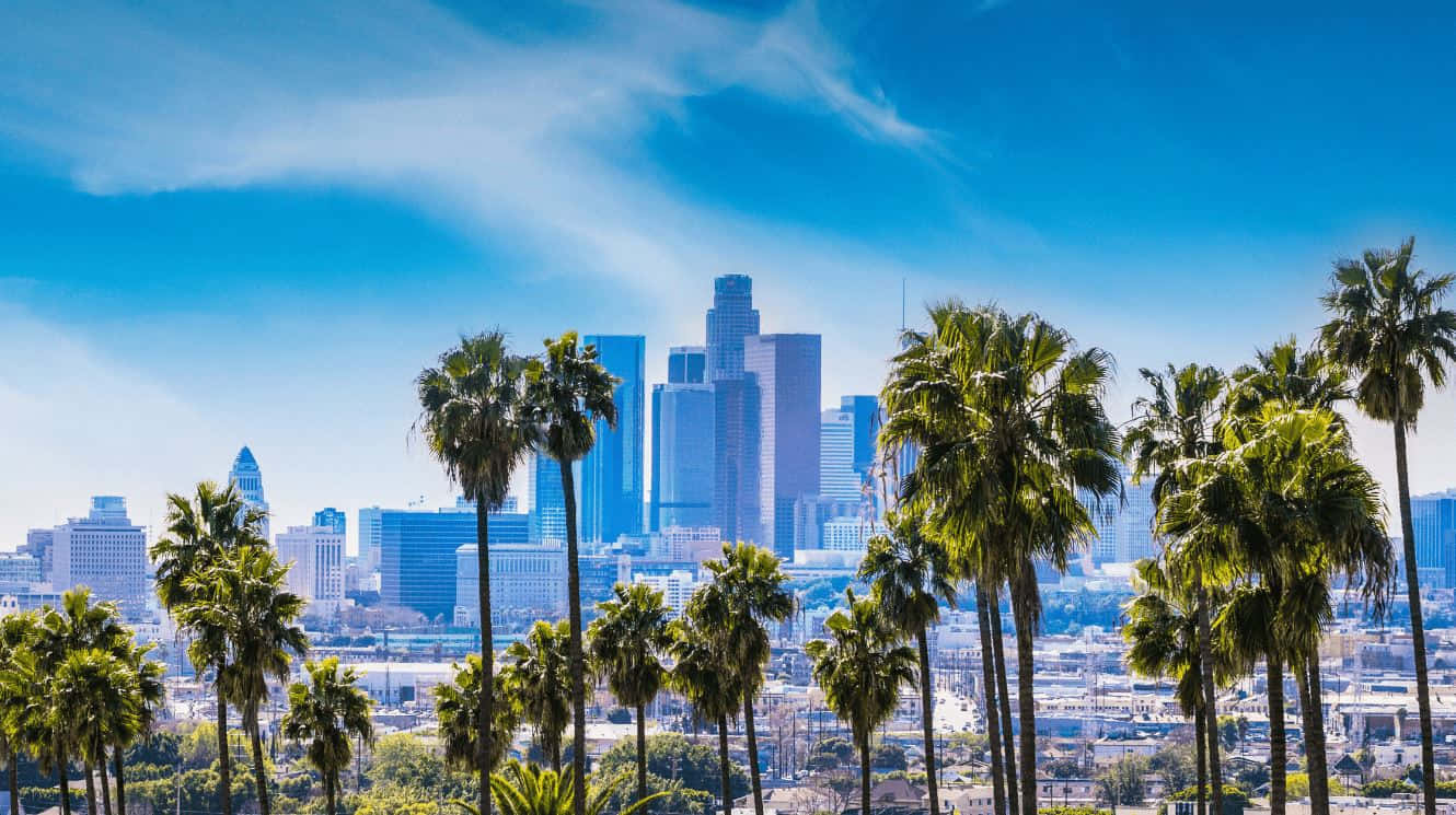 Tramontomozzafiato Sulla Skyline Di Los Angeles