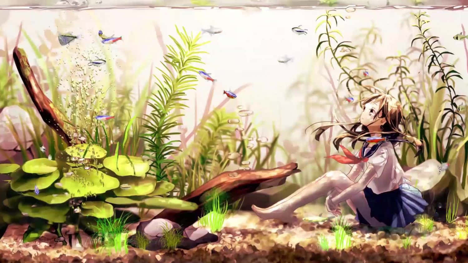 Tranquil Aquarium Scenewith Girl Wallpaper