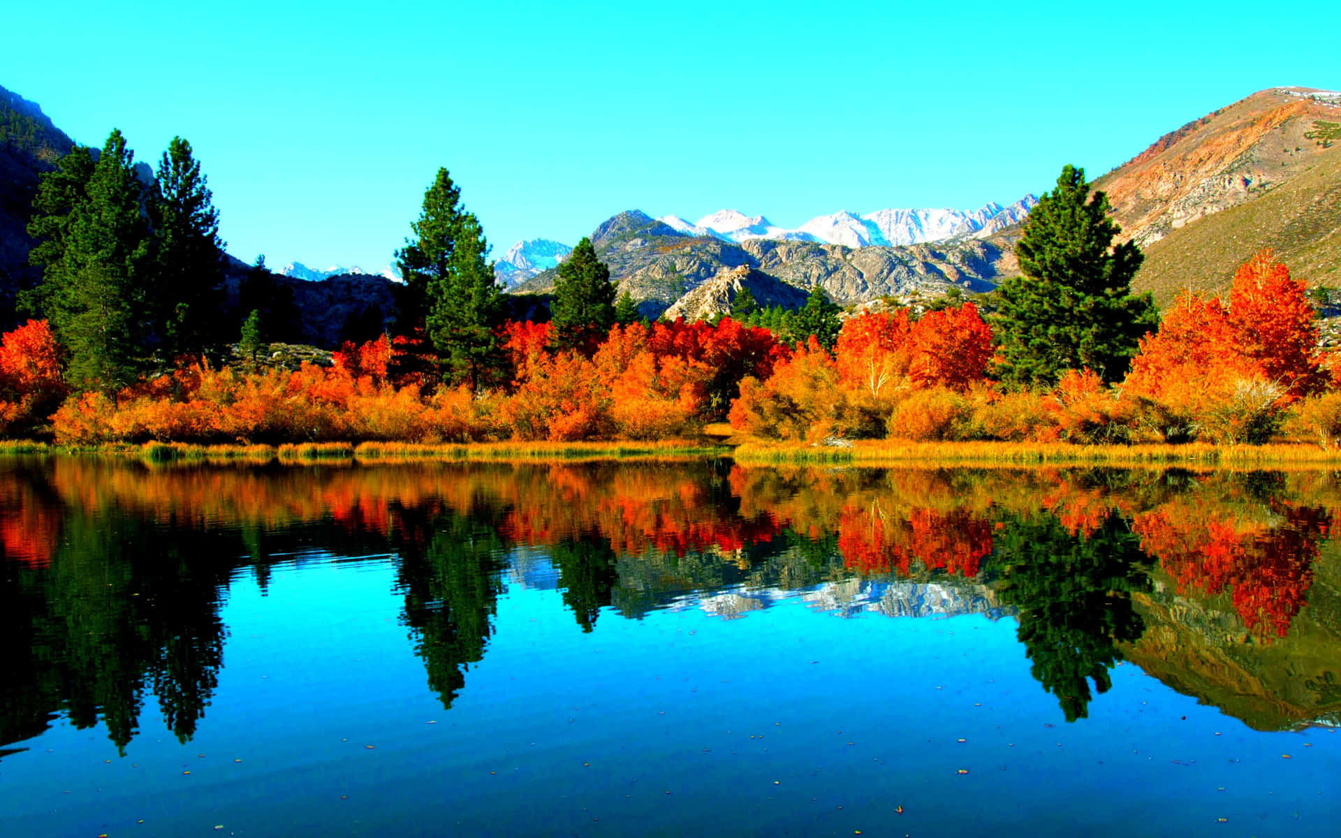 fall lake desktop background